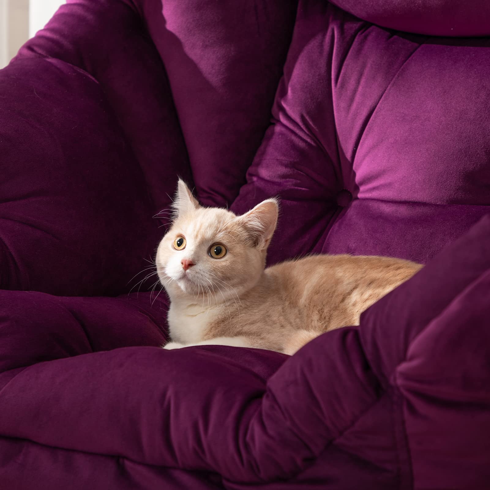 Hollyhome Velvet Comfort Lazy Chair With Armrest Dorms